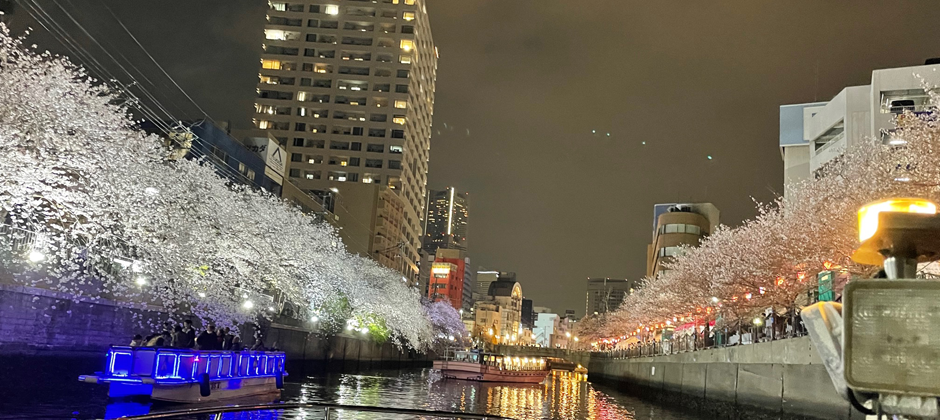 お花見貸切夜桜クルーズ大岡川